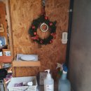 포항(다나) 이미지