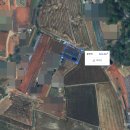 태리농장 이미지