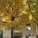 효자로 L 이미지