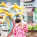 링컨유치원 이미지