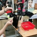 헤어미용사 자격증·연구반 이미지