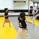 경희대태권도장 이미지