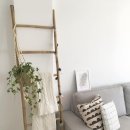 오운테라피