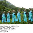 쏘우6개봉(혐오ㅠㅠ) 이미지