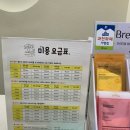 언제나강아지 | [과천 애견미용] ‘언제나 강아지’ 비숑 미용 내돈내산 후기