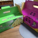 대가포도농원 이미지