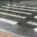 브레드리23 | [안산/고잔동 빵 맛집] 브레드리23 | 초코크로와상 진심 강추