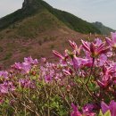 리앙스모텔 이미지