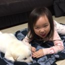 승아농장 이미지