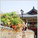 엄마의 정원 이미지