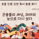 꿀벌 마야의 모험 초등 인문 고전 나눔 후기 곤충이 알려준 삶