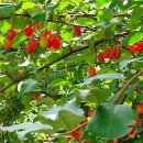 보리수미용실 이미지