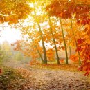 아름다운 인생이야기 이미지