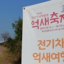 영산강서창들녘억새길 이미지