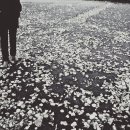 일상(日常) 그 그 이미지