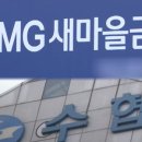 새마을금고빌딩 이미지