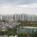 삼익주 이미지