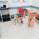 온요양병원 이미지