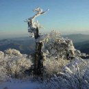 구터미널 쉼터 이미지