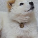 용식농장 이미지