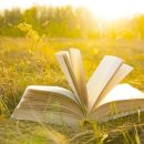 참된교회 이미지