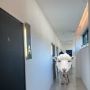 문스톤 펜션 | 강화도 동막해수욕장 근처 문스톤 펜션 B룸 후기