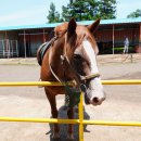 뷰 제주하늘 이미지