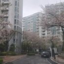 서정마을(중)(19403) | 고양시 행신동도배 서정마을4단지 32평형 도배장판시공 후기
