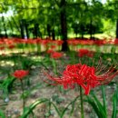 초막골생태공원(초록화장실) 이미지