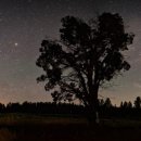 북두칠성 이미지