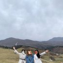 미니크테이블 이미지