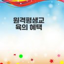 케이스 원격평생교육원 실시간 학습지원 및 자격증 과정 안내