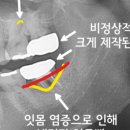 이-조은치과의원 이미지