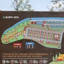 작천정달빛야영장 이미지