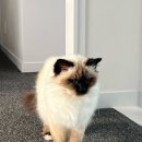 준원농장 이미지