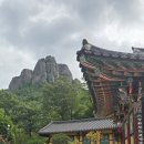 월외우물 | [山] 2025, 주왕산 … 1. 대전사