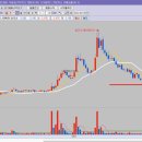 세한약품 이미지