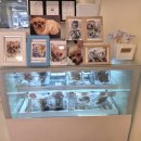 멍이네 수제간식 이미지