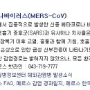 윤창옥내과의원 이미지