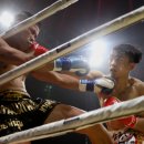 챔피언짐 이미지