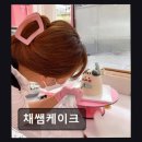 채쌤케이크