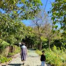 광주 숲놀이터 데굴데굴 너릿재 유아숲체험원 아이와 가볼만한 곳