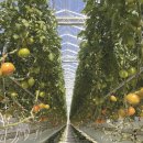 서주농장 이미지