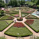 장미정원 이미지