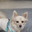 바로슬동물병원 이미지