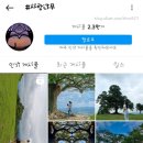 임천 가림성 느티나무 이미지