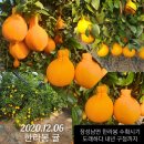 김근 농장 Daum카페
