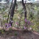 웰부동산중개사무소 이미지