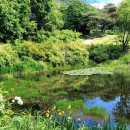 미리내식당 이미지