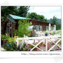 허브아일랜드민박 이미지